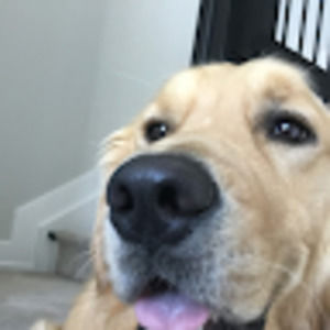 Meet your Posher, Dean or lili-anne